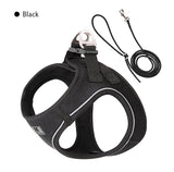 Step-In Dog Harness and Leash Set for Small Dogs and Cats