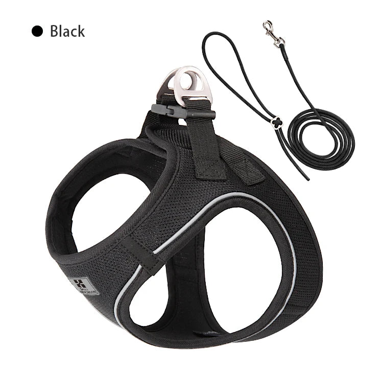 Step-In Dog Harness and Leash Set for Small Dogs and Cats