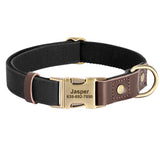 Custom Engraved Buckle Dog Collar with Name and Phone Number