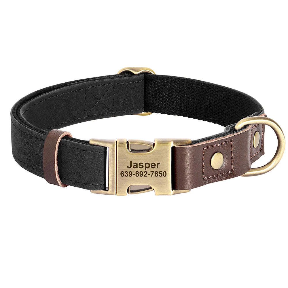 Custom Engraved Buckle Dog Collar with Name and Phone Number