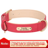 Personalized Leather Dog Collar with Engraved Nameplate, Pin Buckle