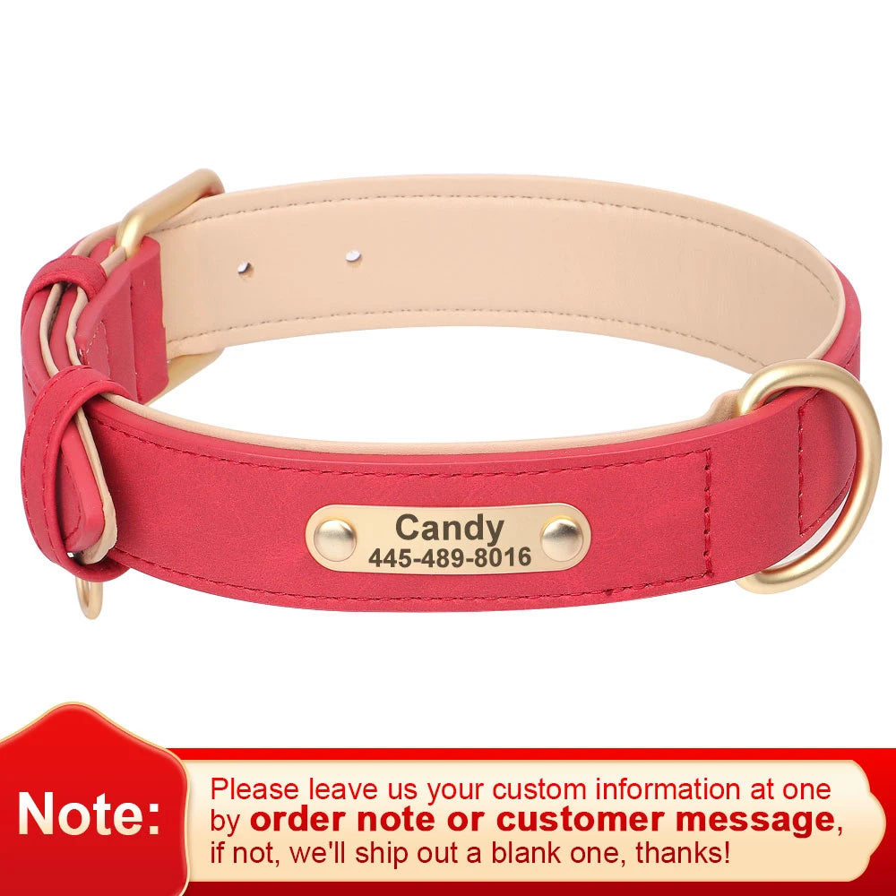 Personalized Leather Dog Collar with Engraved Nameplate, Pin Buckle