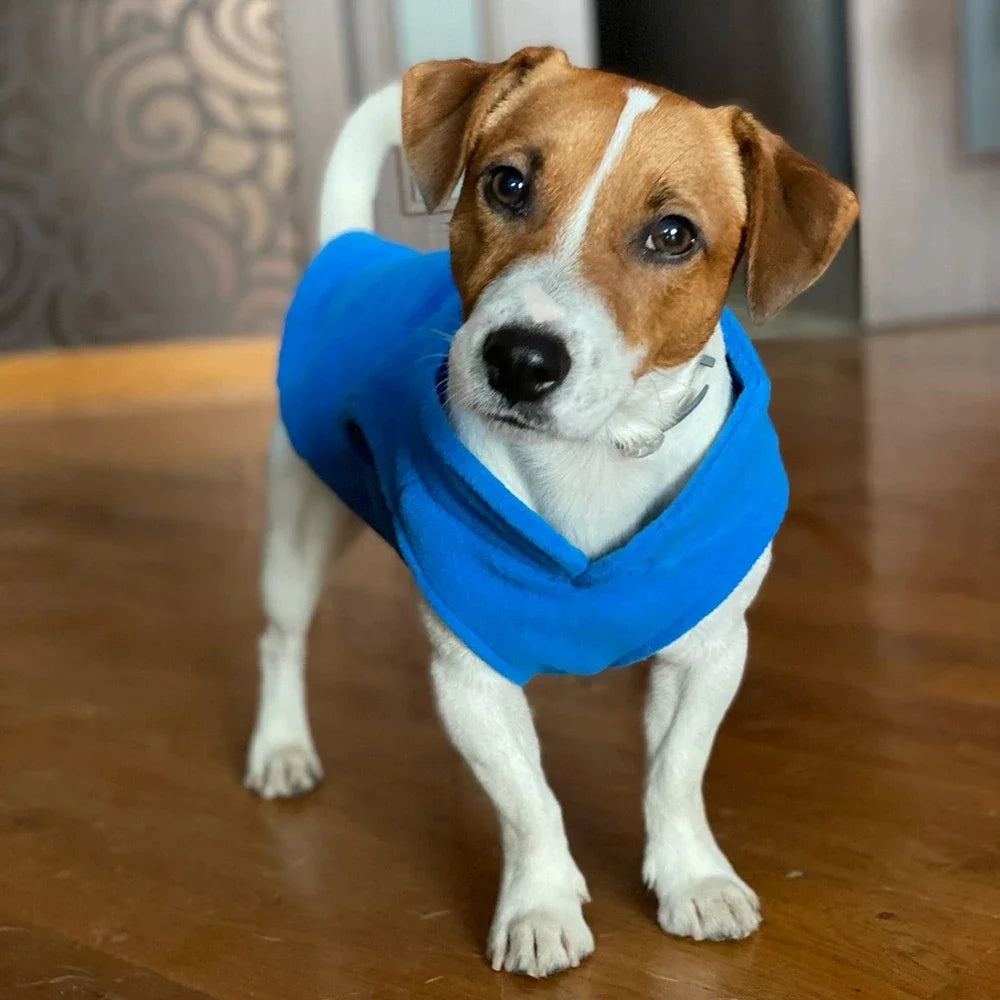 Fleece Dog Vest with D-Ring for Small Dogs