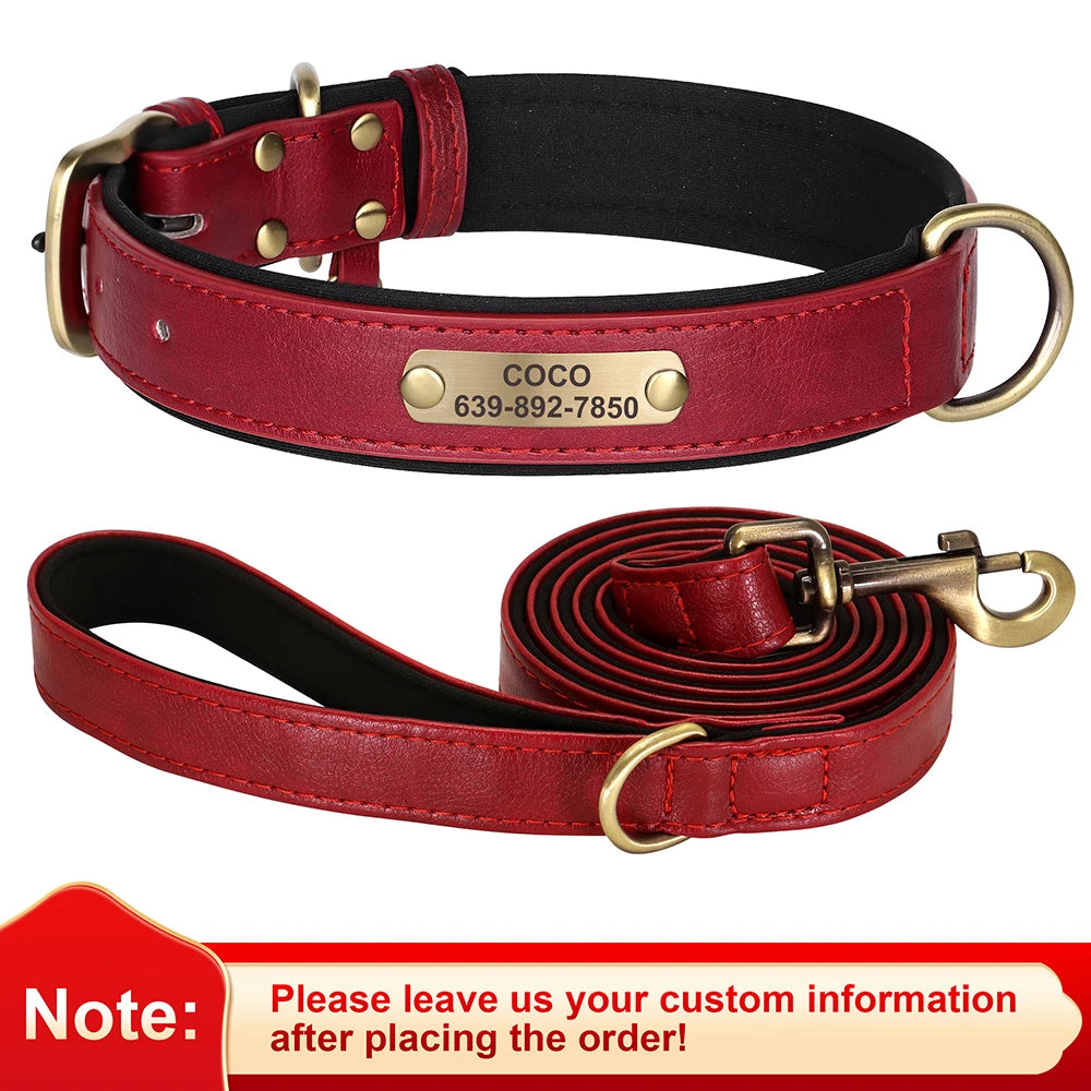 Personalized Leather Dog Collar with Engraved Nameplate, Pin Buckle