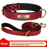 Personalized Leather Dog Collar with Engraved Nameplate, Pin Buckle