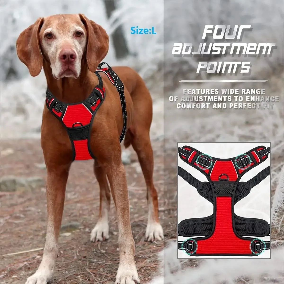 Dog Vest Harness for Small and Medium Dogs, All Seasons