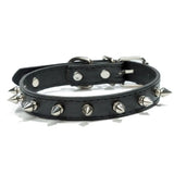 Spiked Studded Dog Collar in PU Leather for Dogs