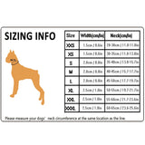Soft Padded Dog Collar with Mesh Lining for Small to Large Dogs