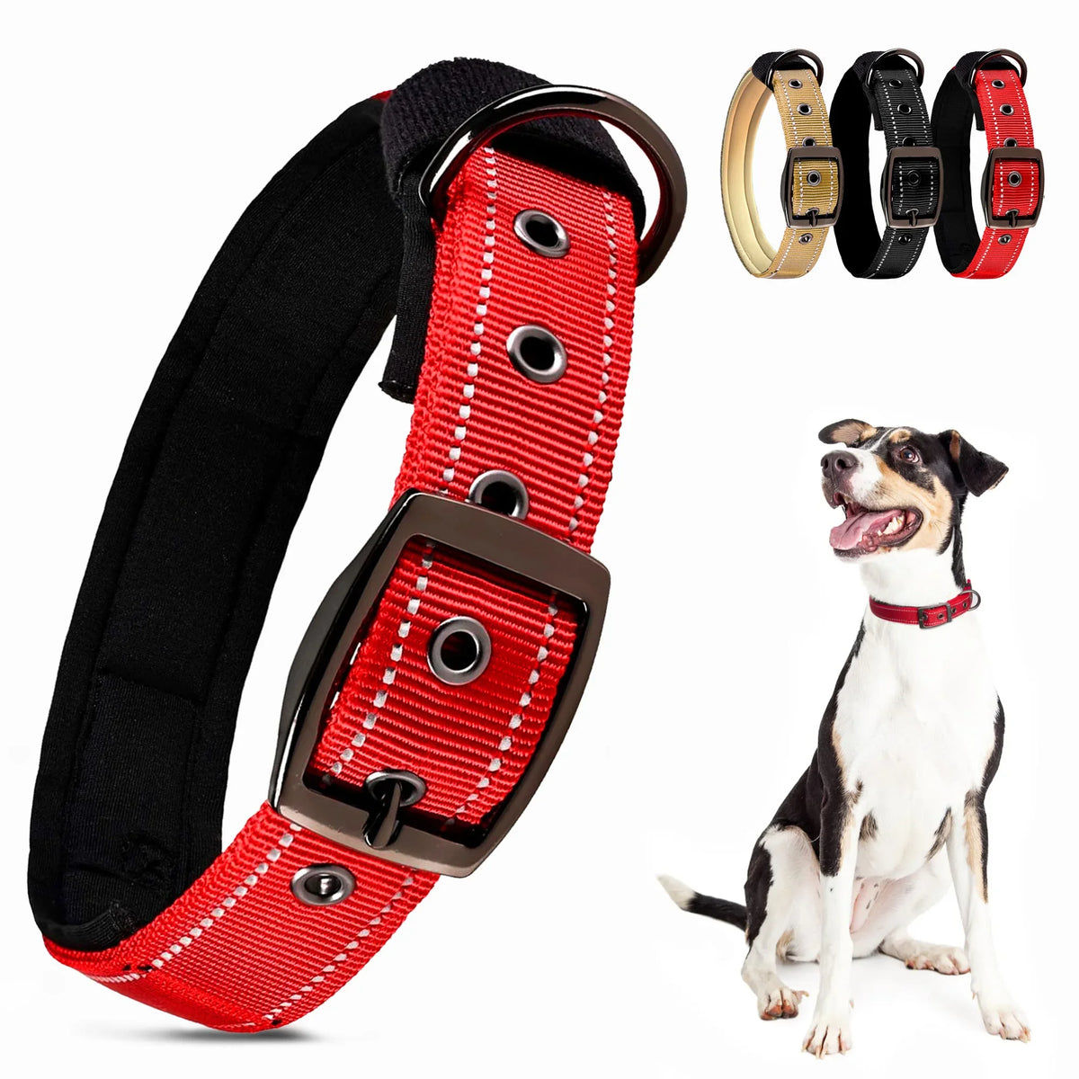 Padded Reflective Dog Collar with Metal Buckle, Medium to Large Dogs