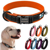Personalized Collar for Large Dogs with Engraved Name Plate