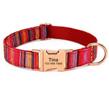 Personalized Nylon Dog Collar with Engraved Name and Metal Buckle