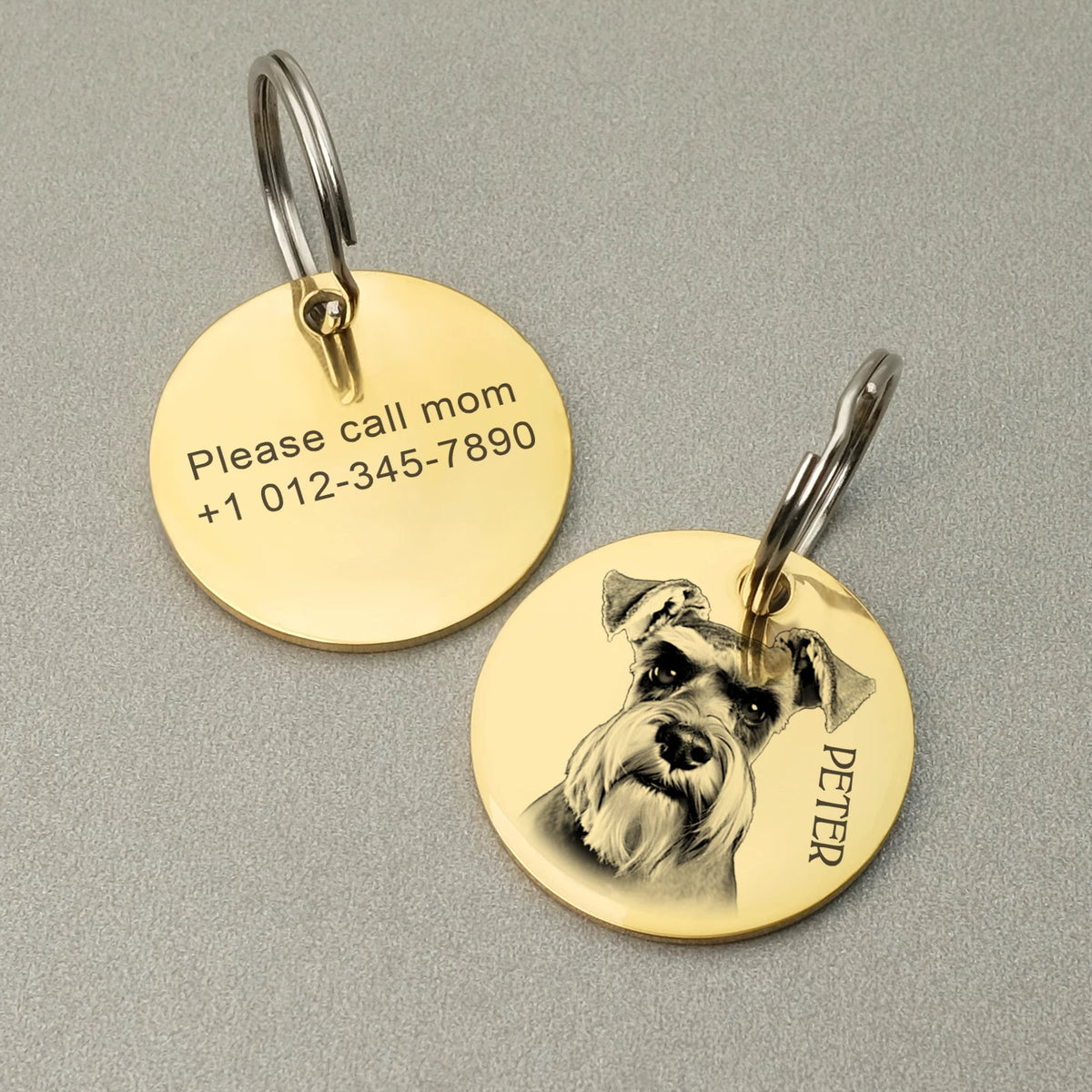 Custom Dog ID Tag with Photo, Personalized Stainless Steel
