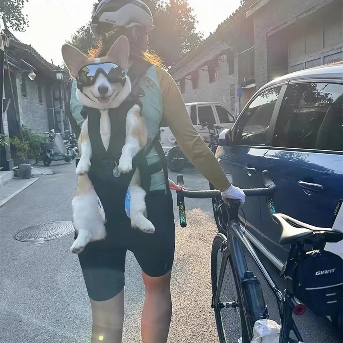 Front Facing Motorcycle Dog Carrier Backpack for Small Dogs