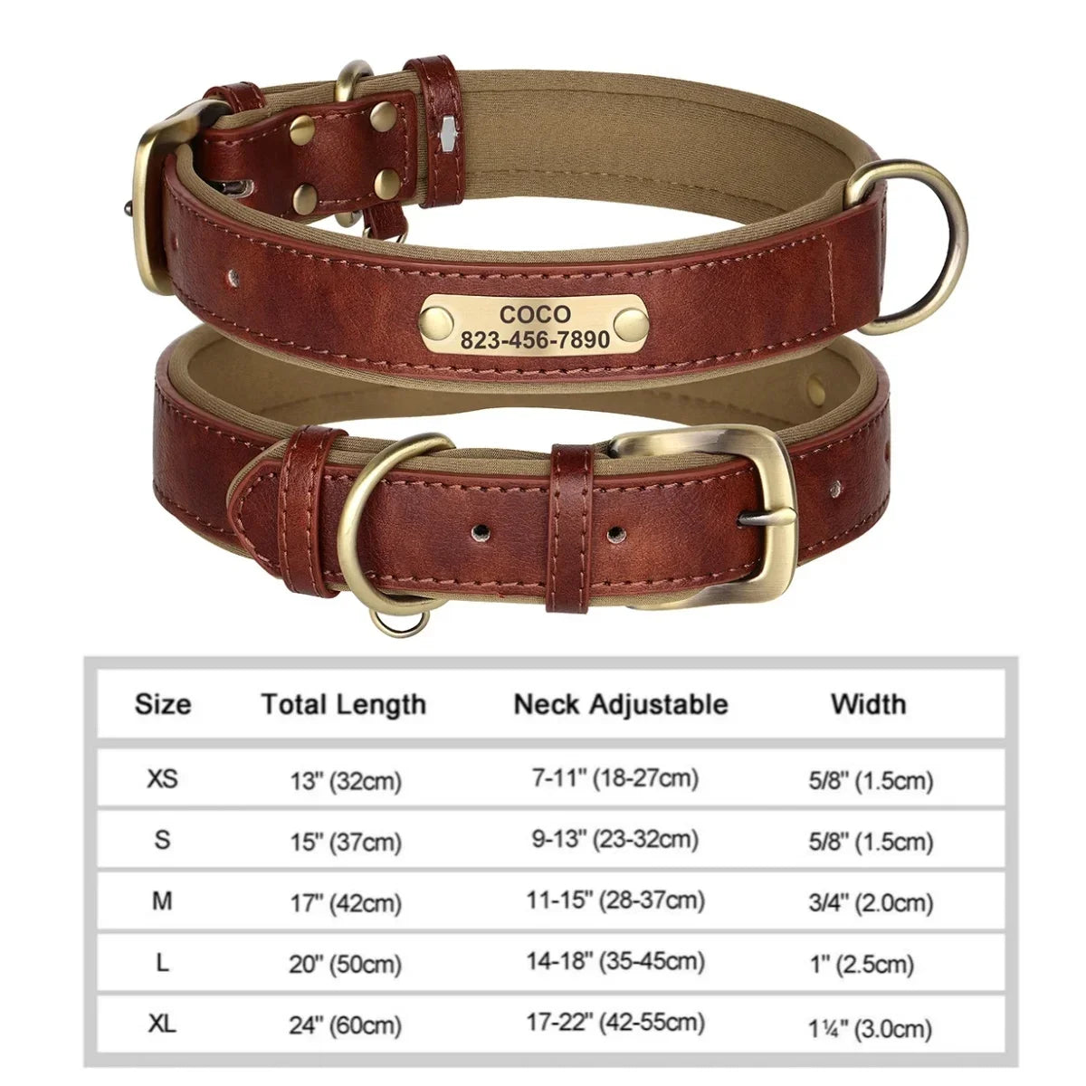 Personalized Padded Leather Dog Collar with Engraved Nameplate