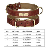 Personalized Padded Leather Dog Collar with Engraved Nameplate