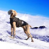 Waterproof Winter Dog Coat with Built-In Harness, S to 5XL