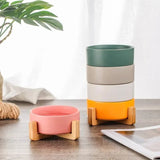 Elevated Ceramic Dog Bowl with Wood Stand