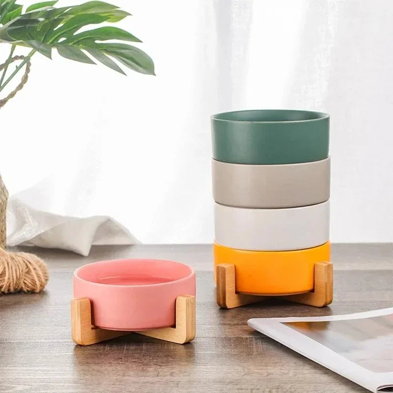 Elevated Ceramic Dog Bowl with Wood Stand