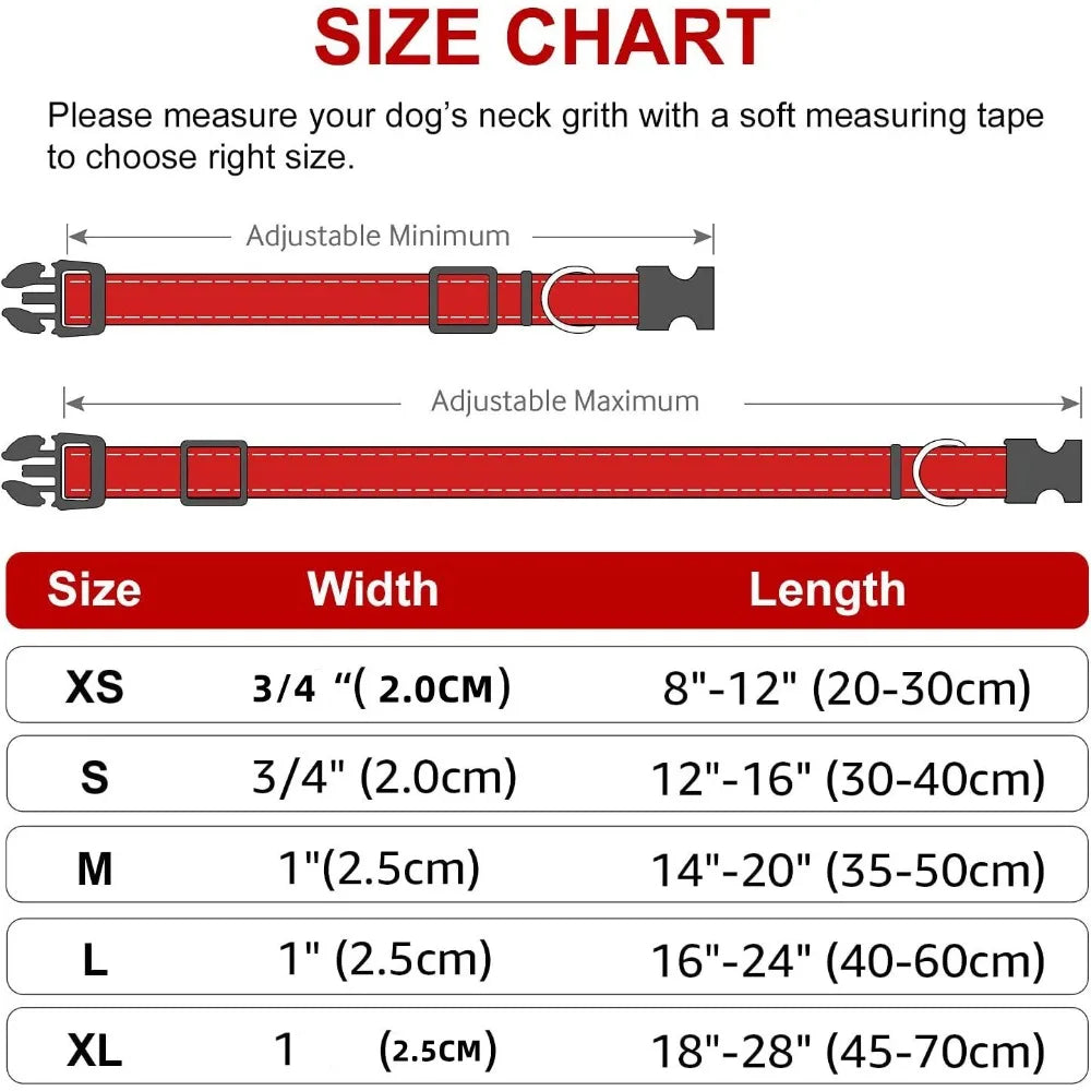 Soft Neoprene Padded Nylon Dog Collar for Medium Dogs
