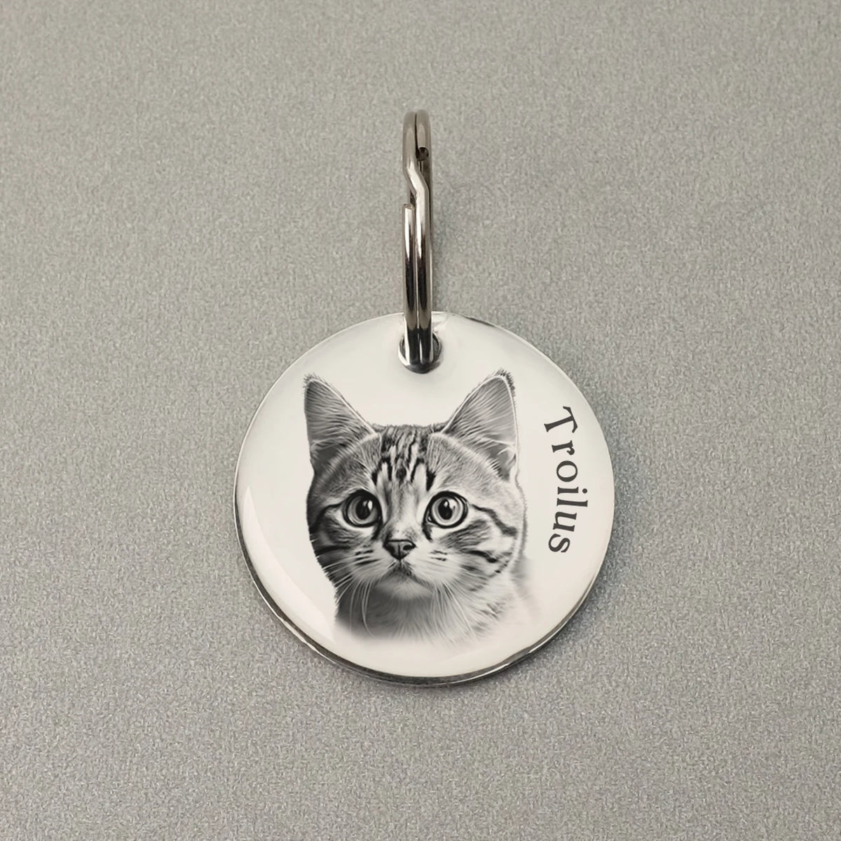 Custom Dog ID Tag with Photo, Personalized Stainless Steel