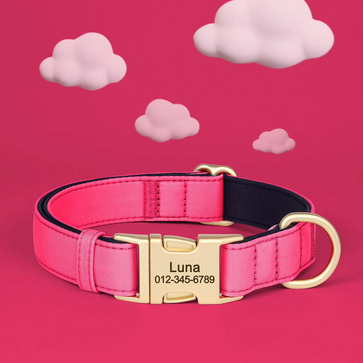 Personalized Padded Dog Collar with Engraved Gold Buckle