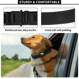 AirTag Dog Collar, Tactical Nylon with Handle and Metal Buckle