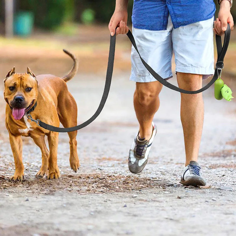 Reflective Nylon Dog Leash with Padded Handle, 4, 5 or 6 ft