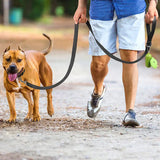 Reflective Nylon Dog Leash with Padded Handle, 4, 5 or 6 ft
