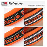 Reflective Neoprene Padded Dog Collar for Hiking and Running