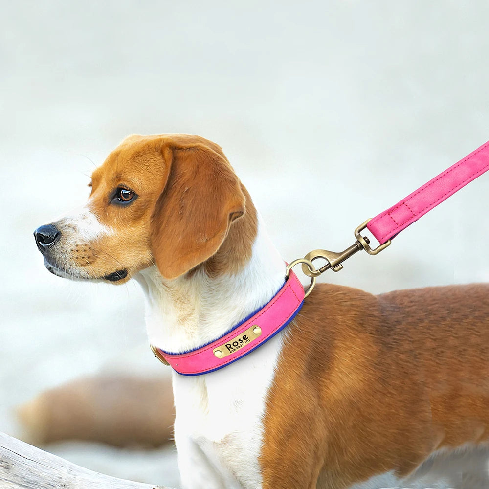 Personalized Dog Collar and Leash Set with Engraved Nameplate