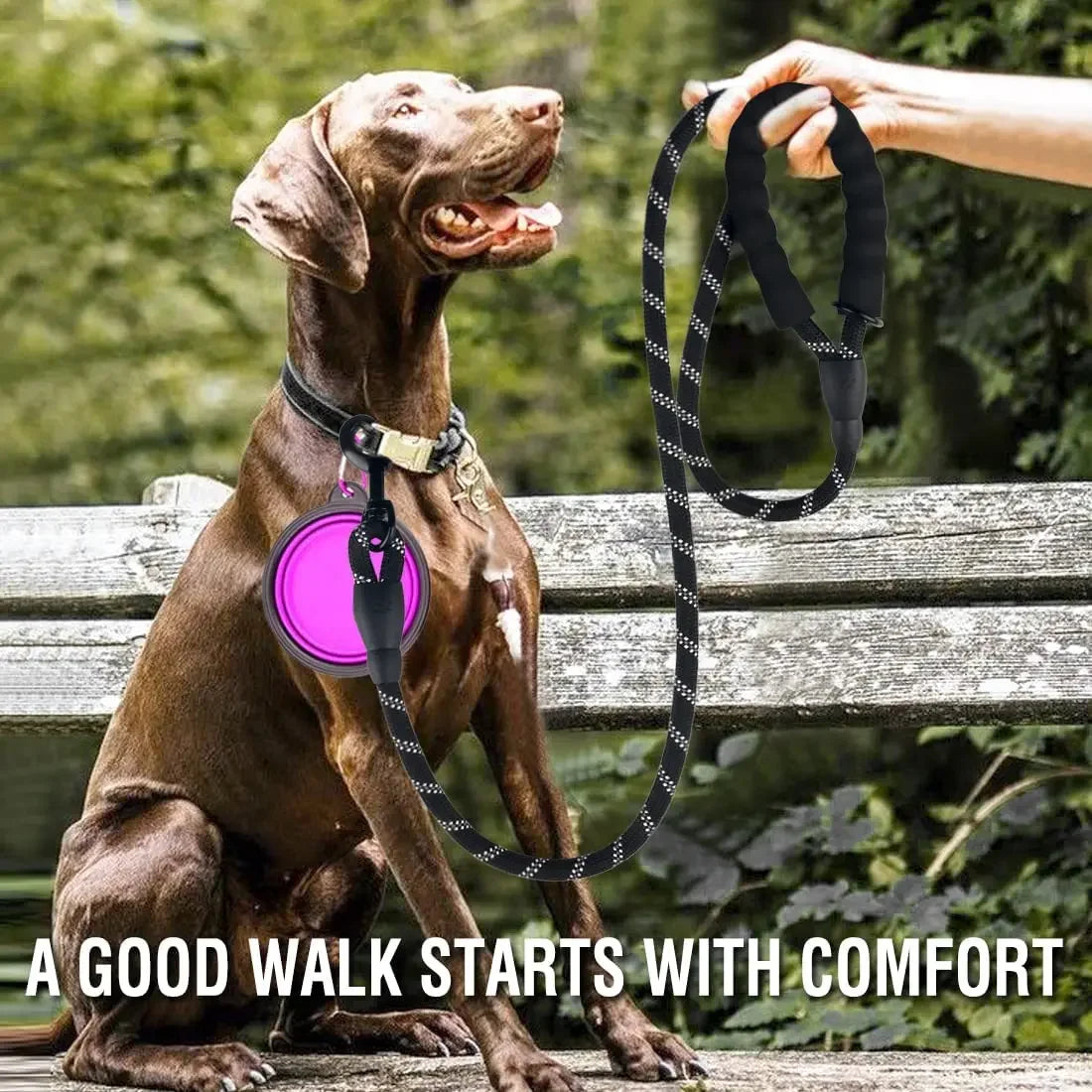 Reflective Rope Dog Leash with Foam Handle, 5 ft